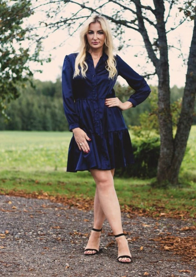 Zila kleita